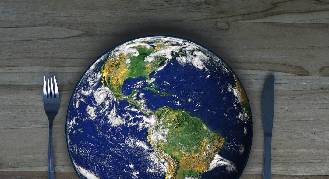 Sustainable Diets – BDA One Blue Dot Webinar