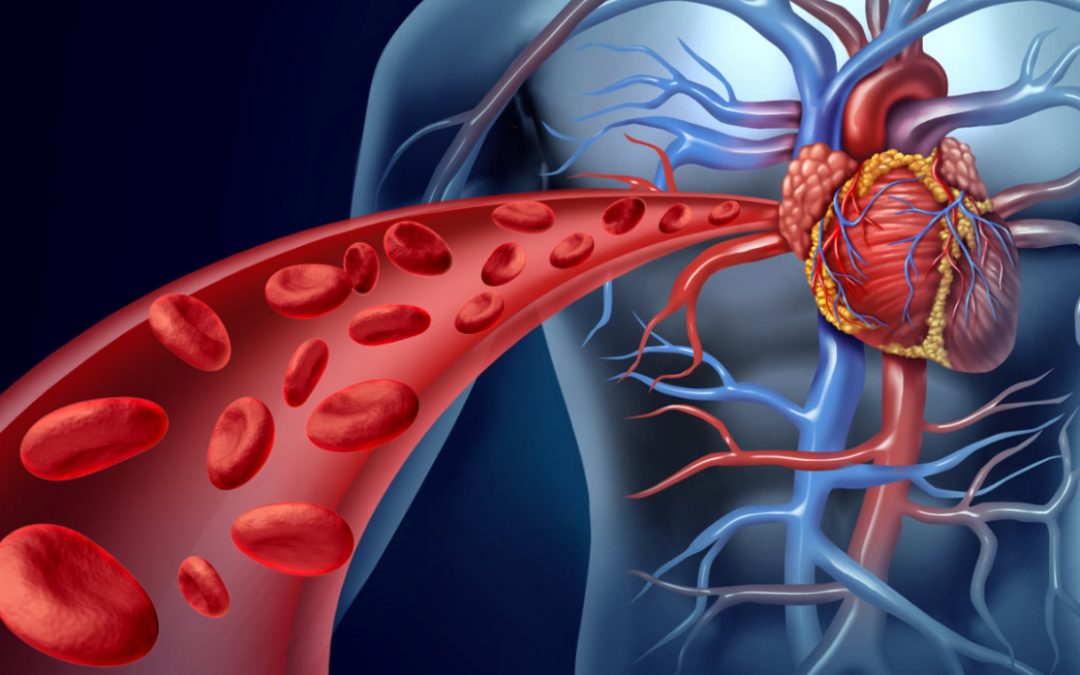 Cardiometabolic Series – Part 1