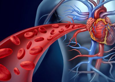 Cardiometabolic Series – Part 1
