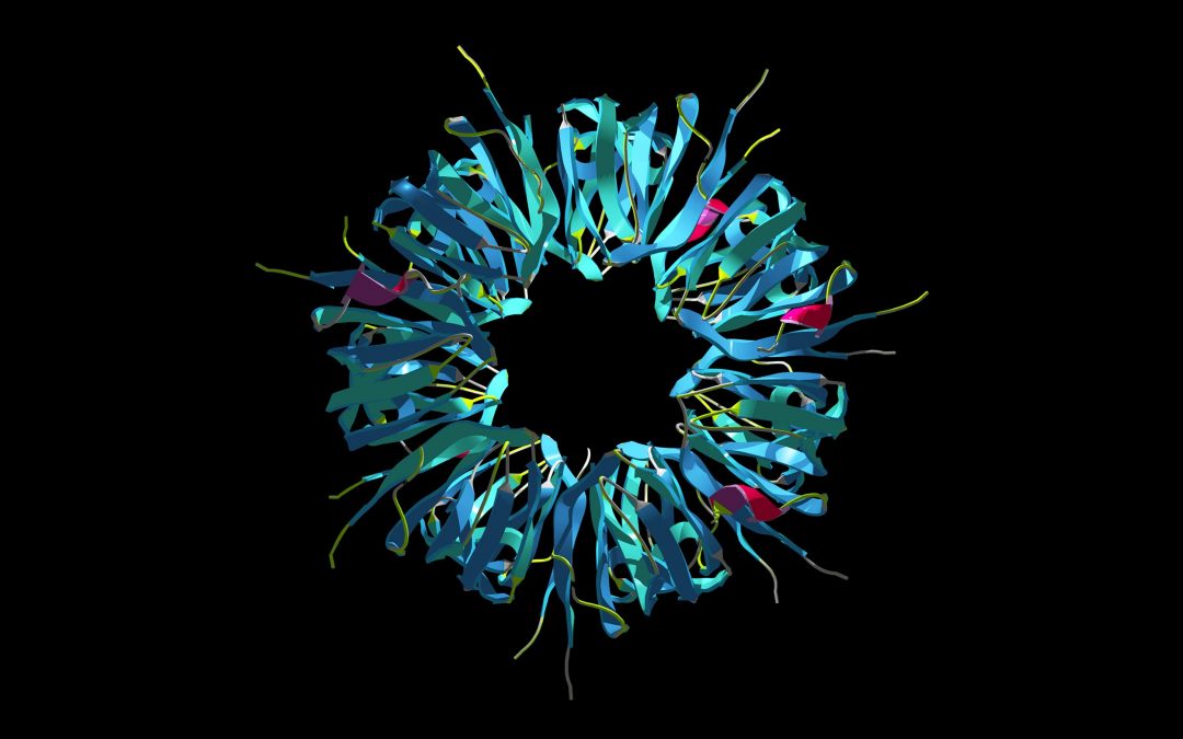 The Future of Protein