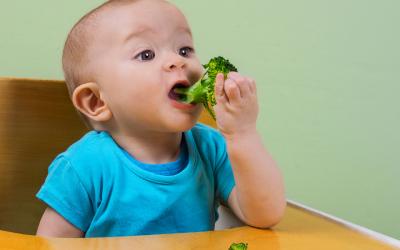 The latest on complementary feeding for babies and young children