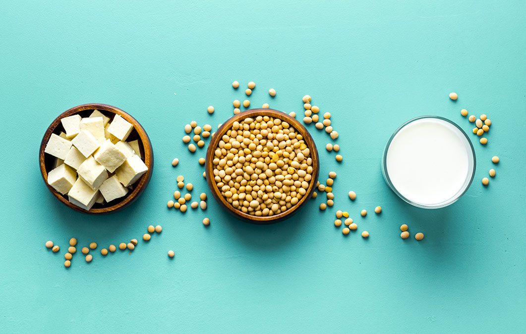 Roundtable on Soya Nutrition Health and Sustainability