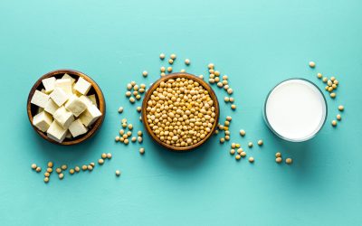 Roundtable on Soya Nutrition Health and Sustainability