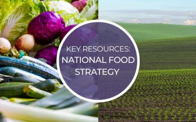 Key Resources: National Food Strategy