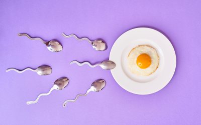Female Fertility: The Impact of Diet and Lifestyle