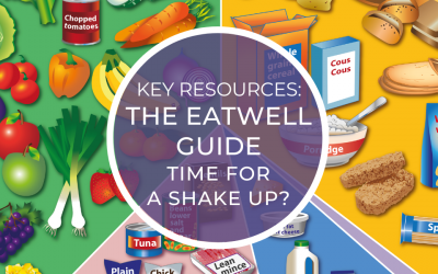 Key Resources: The Eatwell Guide, Time for a Shake Up