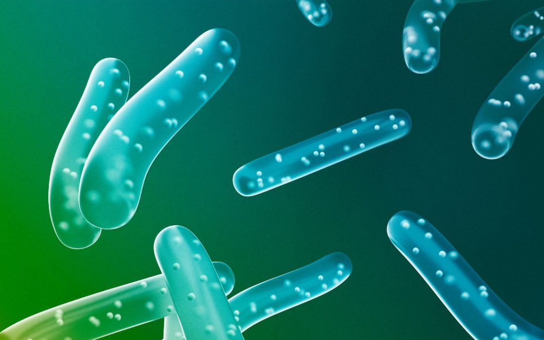 Probiotics in the Management of Gut Disorders: What is the evidence?