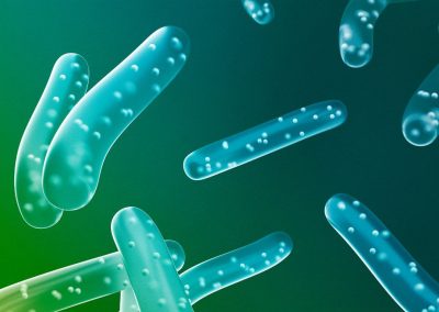 Probiotics in the Management of Gut Disorders: What is the evidence?