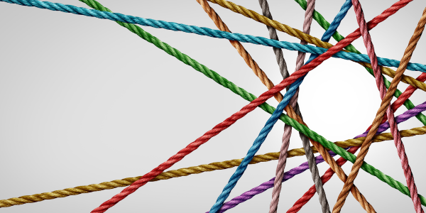 Cultural Diversity in Nutrition and Health