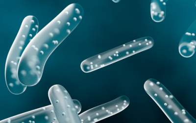 Probiotics in Gut Disorders Management