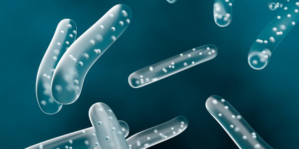 probiotics in gut disorders