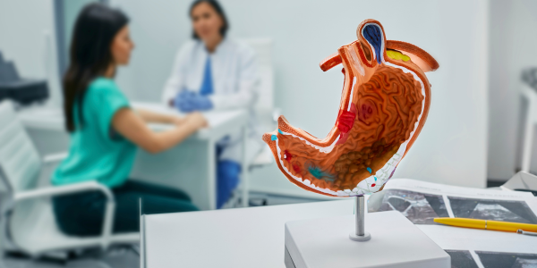 stomach surgery; Bariatric Surgery;