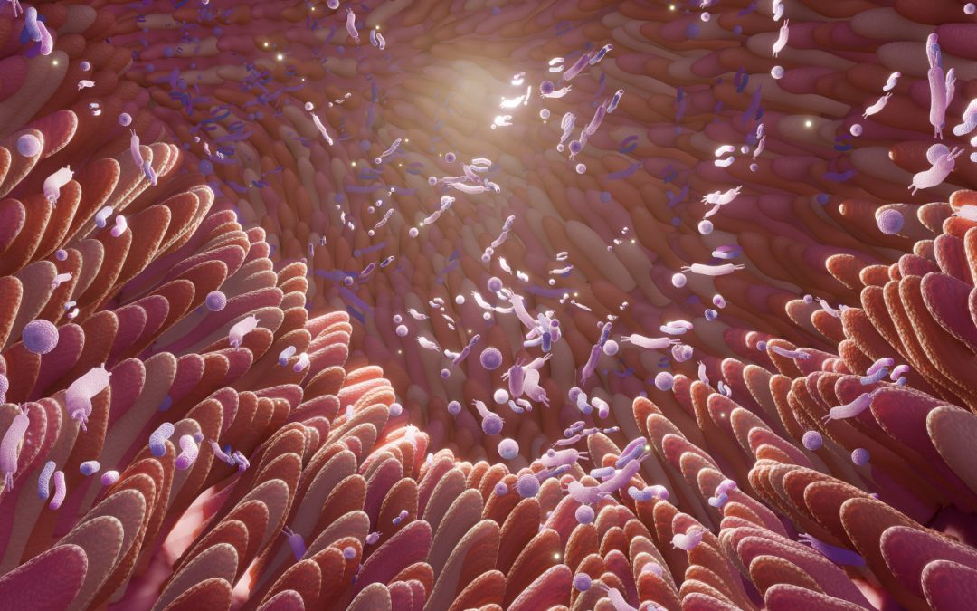 The Microbiome of IBD and CD