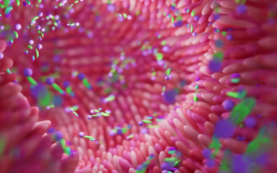 Gut microbiome testing – worth the hype?