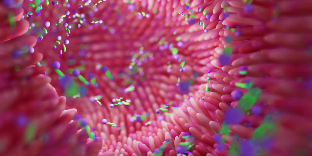 Gut microbiome testing