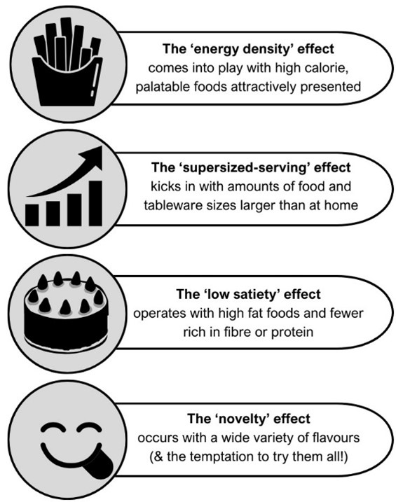 Influences which may increase energy intake on vacation