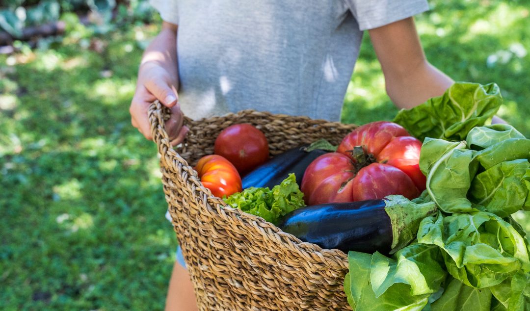 Sustainability in Nutrition and Dietetics