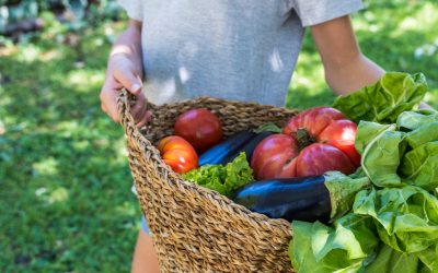 Sustainability in Nutrition and Dietetics