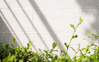 Food First for Malnutrition and Planet