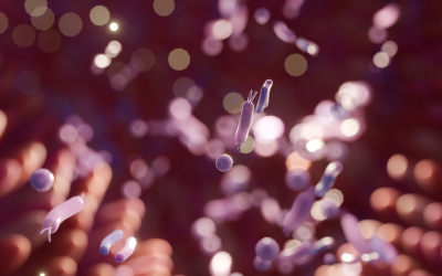 IBS and IBD Overlap in Clinical Practice: The Role of the Gut Microbiome and Probiotics