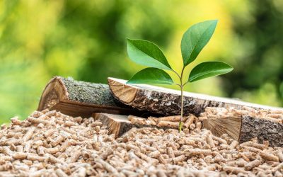 The New Contemplative Nutrition Philosophy