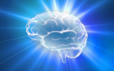 The Gut-Brain Axis: more than just a gut feeling