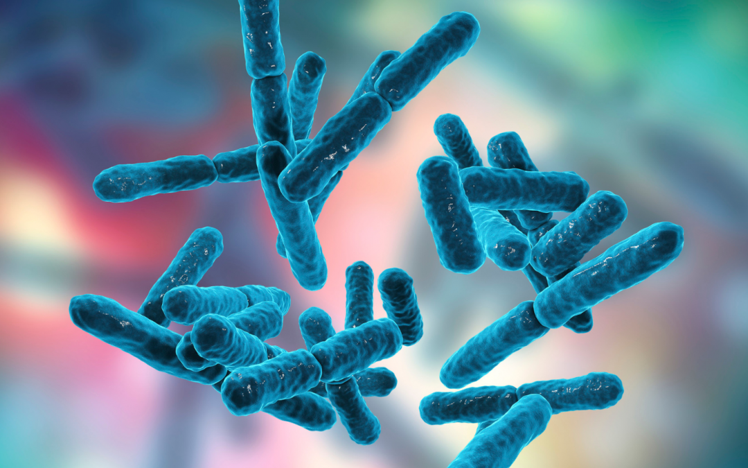 The Gut Microbiome and Probiotics