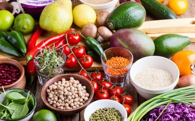 The Eatwell Guide –– What Do Dietitians and Nutritionists Want?