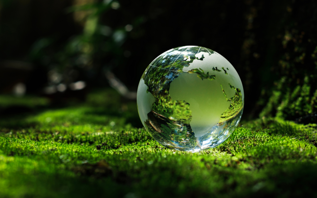 sustainable nutrition