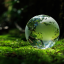 sustainable nutrition