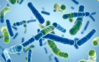 Probiotics – how to look at the evidence