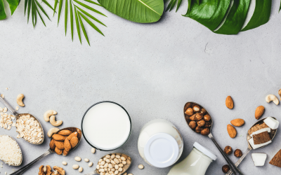 Supporting patients to adopt a plant-rich diet: the role of plant-based alternatives and fortification