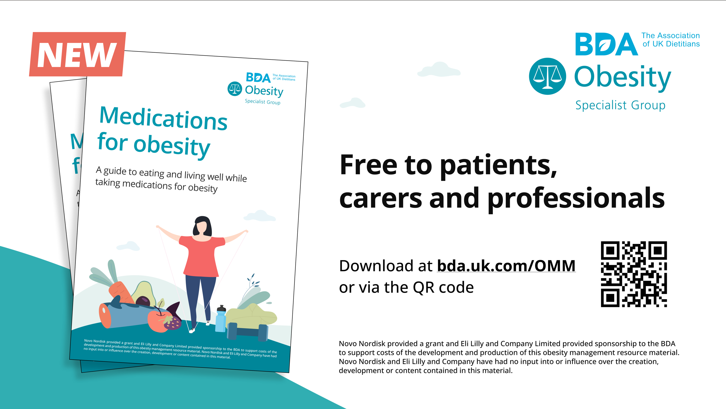 bda obesity resources