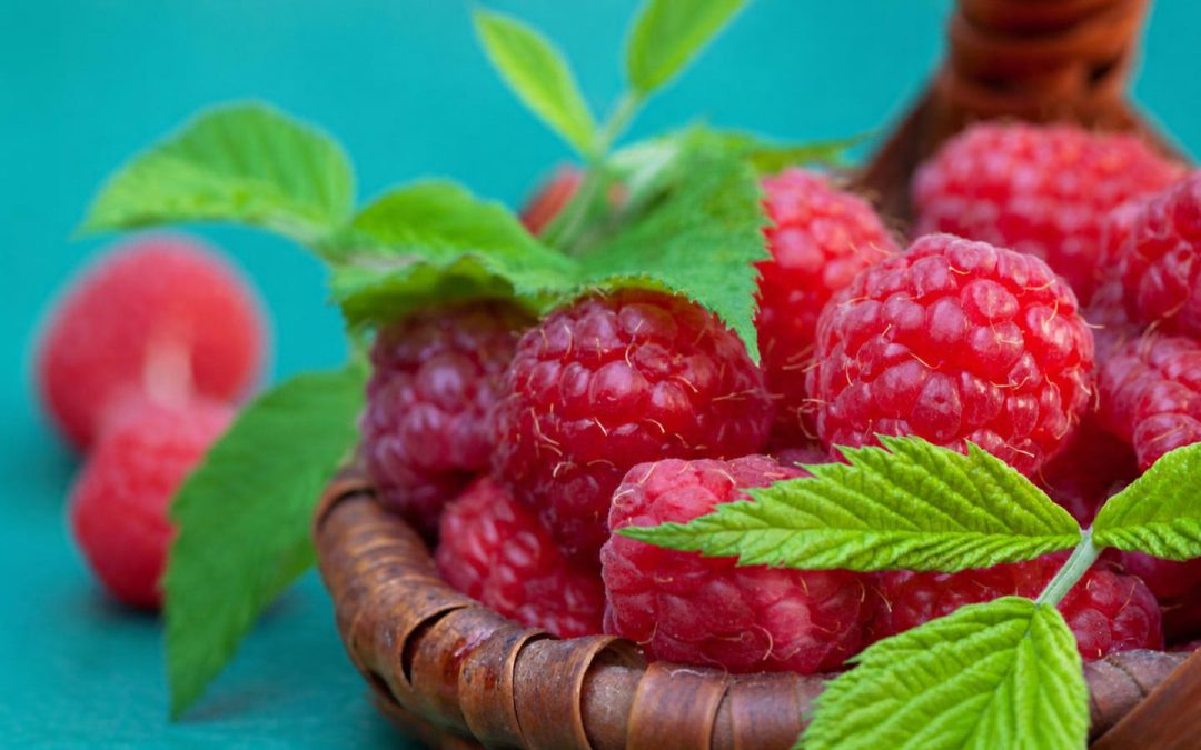 The Science behind Snacking