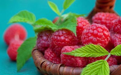 What Should They Reach For Instead? Latest Evidence on Sweet Taste