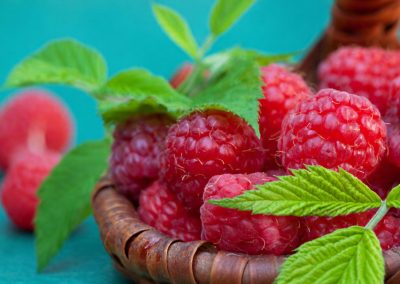 What Should They Reach For Instead? Latest Evidence on Sweet Taste